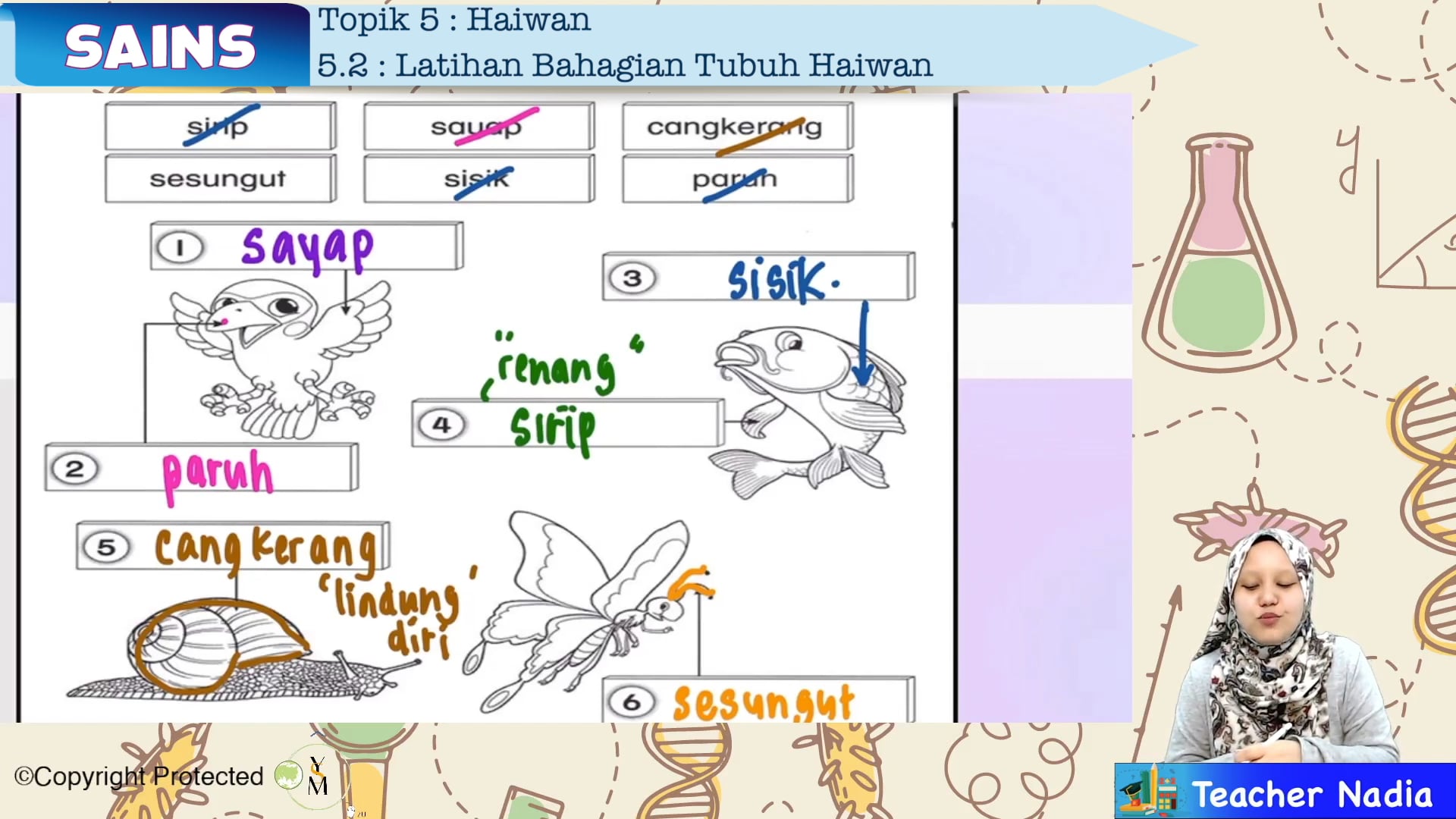 S1_SAINS_05-04 Haiwan: Latihan Bahagian Tubuh Badan Haiwan – My E-Tuition