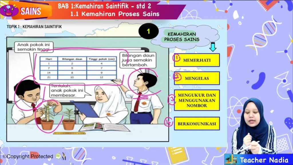 Kemahiran Proses Sains Memerhati - Sains Tahun 1 Kemahiran Proses Sains ...