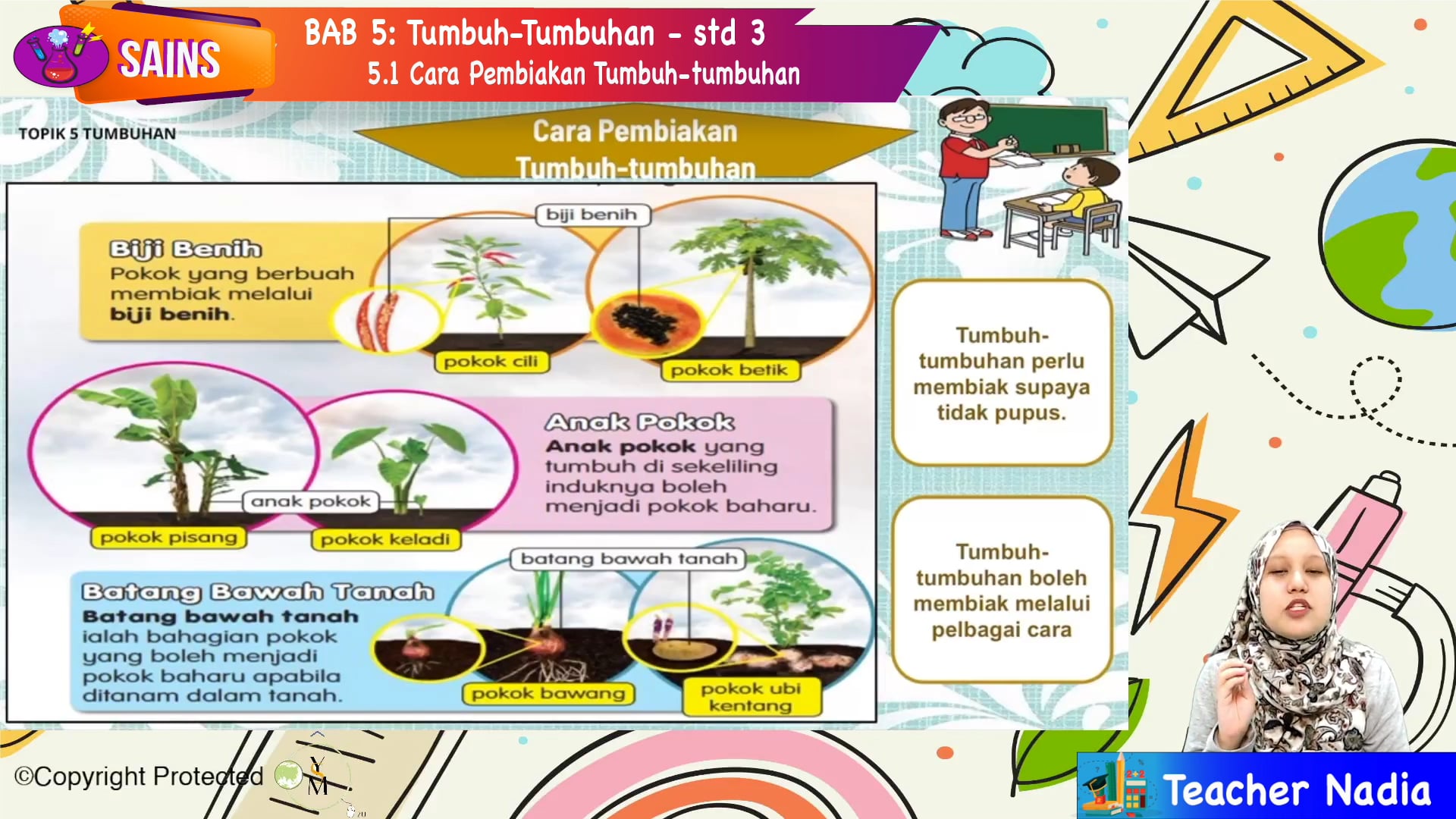 Lembaran Kerja Sains Tahun 3 Tumbuhan : Sains Tahun 1 Tumbuhan Laigtsre ...