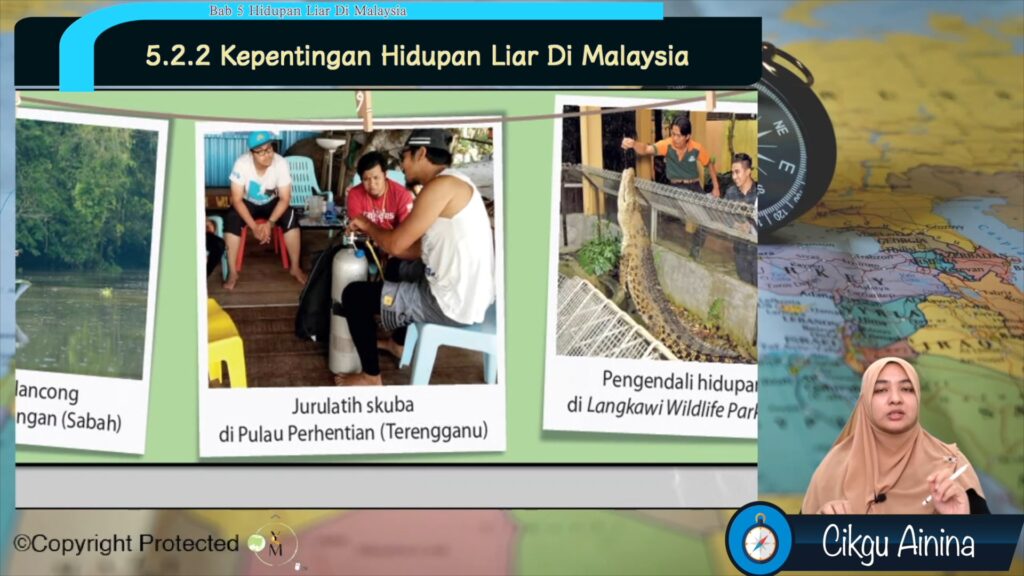 5 Kepentingan Hidupan Liar Di Malaysia / Bab 5 Hidupan Liar Di Malaysia ...