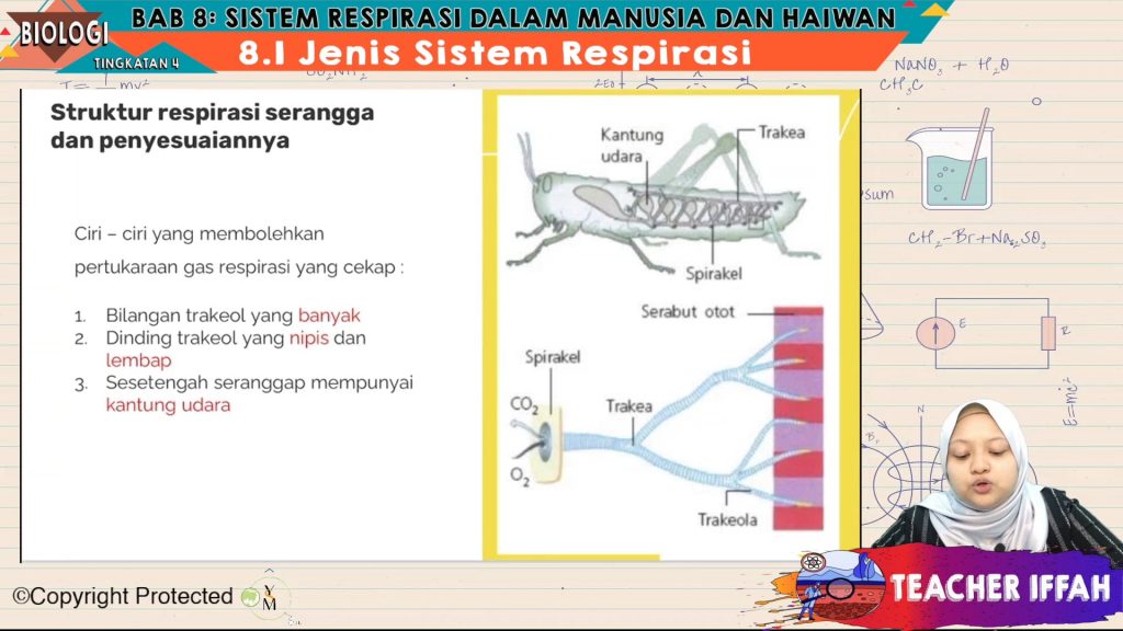 Topik 08 Sistem Respirasi Dalam Manusia Dan Haiwan – My E Tuition